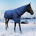 Waterproof Horse Turnout Blanket Horse Winter Blanket 400g Filling with Detachable Neck Cover Size 78 Navy Blue - Image 9