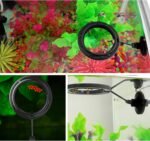 shudyear feeding ring, prevents water turbulence from washing food into The filter, practical round floating food for peacock fish, goldfish and other small fish (1 pc) - Image 5