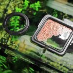 shudyear feeding ring, prevents water turbulence from washing food into The filter, practical round floating food for peacock fish, goldfish and other small fish (1 pc) - Image 6