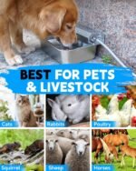 Automatic Dog Water Dispenser, 2 Gallons 304 Stainless Steel Dog Water Bowl for Indoor/Outdoor, Large Water Bowl for Pets & Livestock, Anti Tip, Wide Mouth, Water Auto Fill, Fit GHT 3/4" Faucet - Image 7