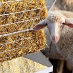 Heavy-Duty Hay Feeder,21 Gallon Feeder for Goat Horse,Galvanized Metal 2 in 1 Hay and Grain Feeder,Hay Rack Wall Mounted,Livestock Feeder with Adjustable Distance ﻿ - Image 8