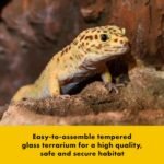 Zilla QuickBuild Terrarium, Sleek Glass Reptile Habitat, Easy Setup, Suitable for all Types of Reptile Pets, Whether Amphibians, Reptilians, Snakes, or Even Arachnids, 30"x12"x12", Black, 30x12x12 - Image 5