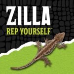 Zilla QuickBuild Terrarium, Sleek Glass Reptile Habitat, Easy Setup, Suitable for all Types of Reptile Pets, Whether Amphibians, Reptilians, Snakes, or Even Arachnids, 30"x12"x12", Black, 30x12x12 - Image 8