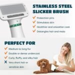 2-in-1 Dog Hair Dryer with Slicker Brush for Small-Sized Dogs and Cats | Pet Hair Dryer | Dog Blow Dryer | 300 Watts, 75-85 dB, Adjustable Temperature, Overheat Protection - Image 5