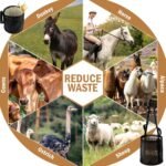 2 Pcs Horse Feed Bag Comfort Breathable Mesh Feed Bucket Heavy Duty Feed Bag with Adjustable Strap and Waterproof Bottom for Horse Feeding Supplies Muzzle Feed Bag, Medium (Black) - Image 8