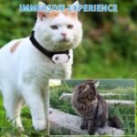 Upgrade Cat Camera Collar with 128GB SD Card, HD 1080P Pet Collar Camera Cat Video Camera Mini Collar Camera for Dogs Cats Present Indoor/Outdoor - Image 5