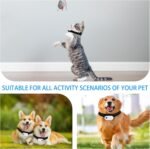 Upgrade Cat Camera Collar with 128GB SD Card, HD 1080P Pet Collar Camera Cat Video Camera Mini Collar Camera for Dogs Cats Present Indoor/Outdoor - Image 6