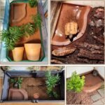 3PCS Tortoise Food Water Bowls with Ramp Leaf Tortoise Food Dish Reptile Food Water Bowls Reptile Bathing Pool Aquarium Ornament for Gecko, Snake, Turtle, Bearded Dragon, Lizard Small - Image 4