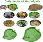 3PCS Tortoise Food Water Bowls with Ramp Leaf Tortoise Food Dish Reptile Food Water Bowls Reptile Bathing Pool Aquarium Ornament for Gecko, Snake, Turtle, Bearded Dragon, Lizard Small - Image 5