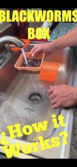 2022 Live Blackworms Box Keeper Wormbox Stackables Discus Altums Tropical Fish Worm Container Food Supplies Pet, Seafood, 9.59 Ounces - Image 2