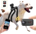 2K Pet Collar Camera with 32GB SD Card,Cat Collar Camera with Phone app,20MP WiFi Dog Collar Camera,Pet Camera Accessories Newly Upgraded,Lightweight Action Camera with Remote - Image 2