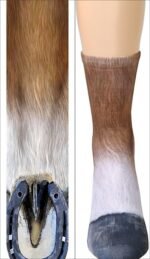 Animal Paws Socks - Funny 3D Animal Socks Crazy Cat Tiger Dog Paw Crew Socks Novelty Socks Gag Gifts - Image 2