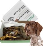Bird Dog Training Kit with Real Quail Wing - Essential Dog Training Supplies & Accessories for Hunting Dog Training - Enhance Skills with Authentic Scent & Feel - Image 2