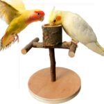 Bird Perch Stand Parrot Wooden Perch Conure Stand Bird Training Perch with Wood Food Cup for Parakeet Lovebird Conure Canary Budgie Smll Birds - Image 2