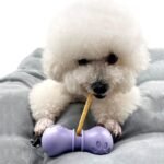 Bully Stick Holder for Dogs, Chew Holder, Prevent Choking Safety Device-Small - Image 2