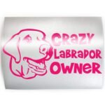 CRAZY LABRADOR OWNER Funny Retriever - PICK COLOR & SIZE - Lab Dog Breed Vinyl Decal Sticker C - Image 2