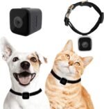 Cat Camera Collar, No WiFi Needed No APP,Cat Collar Camera with Video Record, Body Camera for Cat/Dog Recording,Camera for Cat Collar,Pet Collar Camera Outdoor, Dog/Cat Birthday Gift - Image 2