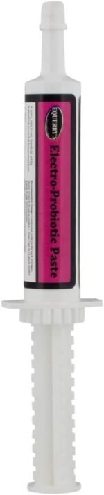 Electro-Probiotic Paste, Quick and Easy Source of Electrolytes and Probiotics for Stressed Horses (30 Grams) - Image 2