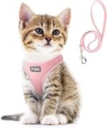 Fida Cat Harness and Leash Set for Walking Kitten and Puppy, Escape Proof Kitten Harness with Breathable Lightweight Soft Mesh, Adjustable Reflective Step-in Design. (XXXS, Pink) - Image 2