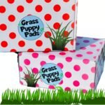 Grass Puppy Kit w/Treats - Image 2