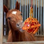 Horse Carrot Feed Toy Hanging Carrot Feeding Toy Horse Treat Ball for Horse Stable Stall Rest - Image 2
