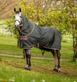 Horseware® Amigo® Hero Ripstop Plus Turnout Horse Blanket (0g Light) - Image 2