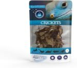 Jurassic Natural Cricket Single Pack 0.21oz - Image 2