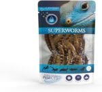 Jurassic Natural Superworm Single Pack 0.70oz - Image 2