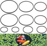 PAGOW 10pcs Fish Feeding Rings Set, 5 Sizes Round Floating Aquarium Plant Corral, Fish Feeder Rings for Fish Tank, Floating Plant Ring, Fish Tank Aquarium Accessories for Betta (Black) - Image 2