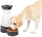 PetSafe Healthy Pet Food Station - Medium, 4 lb Kibble Capacity - Gravity Pet Feeder Dry Food Dispenser, Automatic Cat Feeder, Small to Medium Dog Feeder - Removable Stainless Steel Bowl Included - Image 2