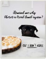 Stupell Industries House Pet Dog Treat Limit Phrase Sassy Kitchen, Designed by Ziwei Li Art, 13 x 19, Wall Plaque - Image 2