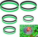 10 Pcs Fish Feeding Ring Round Floating Feeding Circle for Fish Tank Floating Food Ring Floating Plant Ring for Betta, Goldfish, and Small Fish (Green, Black) - Image 2