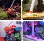 Small Fish Tank Cleaner - Algae Scraper for Glass Aquariums - Aquarium Brush & Scrubber Tool Adapted for Cleaning Glass and Acrylic Aquariums. - Image 4