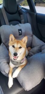 JACKO & CO - Premium Dog Car Seat & Bed for Small & Medium Dogs up to 30lbs, Soft Travel Bed & Carrier Bag for Pets, Puppies, Cats for Front & Back Seat, Machine Washable & Water Resistant (Grey) - Image 9