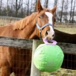 Horsemen's Pride 14" Jolly Tug Horse Toy, Blue (JT14 B),All Breed Sizes - Image 3