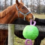 Horsemen's Pride 14" Jolly Tug Horse Toy, Blue (JT14 B),All Breed Sizes - Image 7