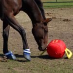 Horsemen's Pride 14" Jolly Tug Horse Toy, Blue (JT14 B),All Breed Sizes - Image 9