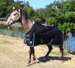 T TEKE Deluxe Turnout Horse Blankets, 1200D Waterproof and Breathable Horse Care Blankets for winter 200gram filling (51"-87" including miniature/foal size) - Image 3