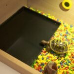 OMEM Reptile Bowl Large Food and Water Dish Enough Space Also Fit for Bath Simulated Wood Grain Surface (XL, Black) - Image 5