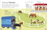 The Everything Book of Horses and Ponies (Everything About Pets) - Image 4