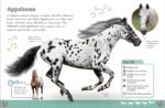 The Everything Book of Horses and Ponies (Everything About Pets) - Image 6