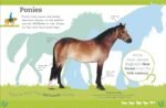 The Everything Book of Horses and Ponies (Everything About Pets) - Image 7