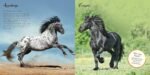 The Book of Horses: The ultimate guide to horses around the world - Image 7