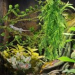 Reptile Plants, Terrarium Hanging Plant Vines Artificial Leaves Reptile Hide, Leopard Gecko Tank Accessories, Terrarium Decorations for Bearded Dragon Lizard Snake Geckos Chameleon - Image 8