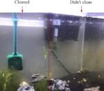 Aquarium Double Sided Sponge Cleaning Brush Cleaner Scrubber 2 Packs One Set Blue and Green Brushs - Image 6