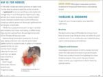 All About Horses: A Kid's Guide to Breeds, Care, Riding, and More! - Image 4