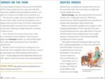 All About Horses: A Kid's Guide to Breeds, Care, Riding, and More! - Image 5