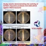 DrTim's Aquatics Eco-Balance for Saltwater Aquariums – Multi-Strained, Supportive Probiotic Bacteria to Maintain a Balanced Fish Tank Environment-16 oz. - Image 7