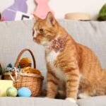 ADOGGYGO Easter Cat Collars with Removable Flower Bell, Adjustable Rabbit Easter Eggs Pattern Cat Floral Collars Cat Easter Collars for Cats Kittens (Easter) - Image 4