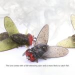 Fly fishing, Fly Fishing Bait 20PCS, 2024 Upgraded Fishing Flies, Shrimp Flavor Fishing Bait, Indestructible Bait without dropping The line Fly Fishing Lures-Fishing Flies - Image 4